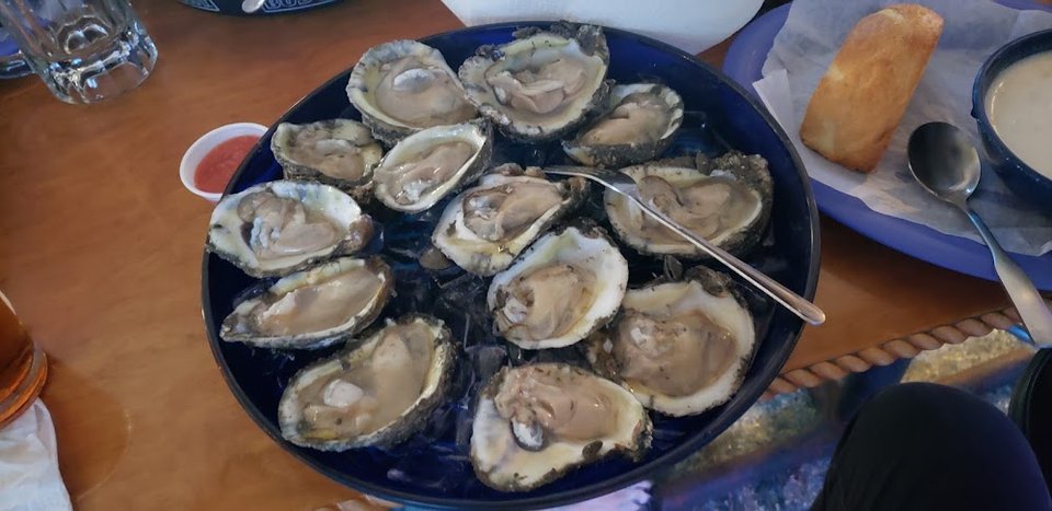 Oyster